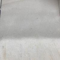 IMG_1880