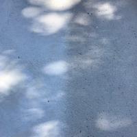 IMG_1922