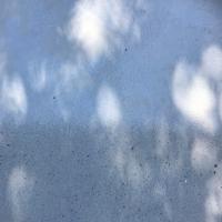 IMG_1923